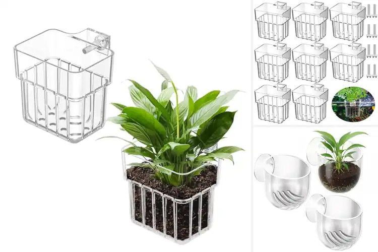 Detailed view of Best Acrylic Aquarium Holders