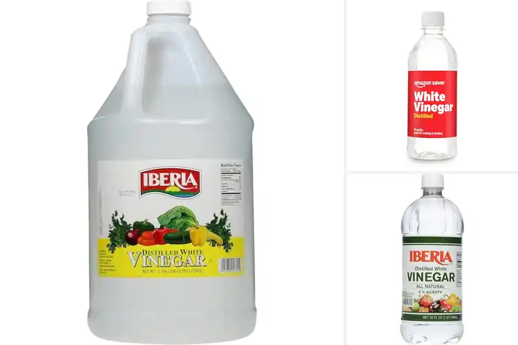 Detailed view of Best Affordable Vinegars