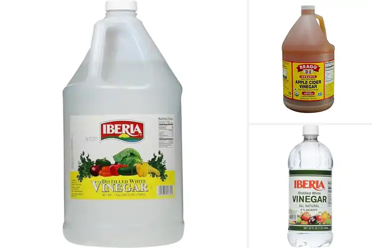 Detailed view of Best Bulk Vinegars