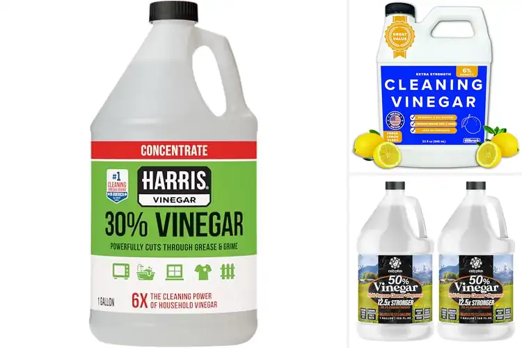 Detailed view of Best Cleaning Vinegars