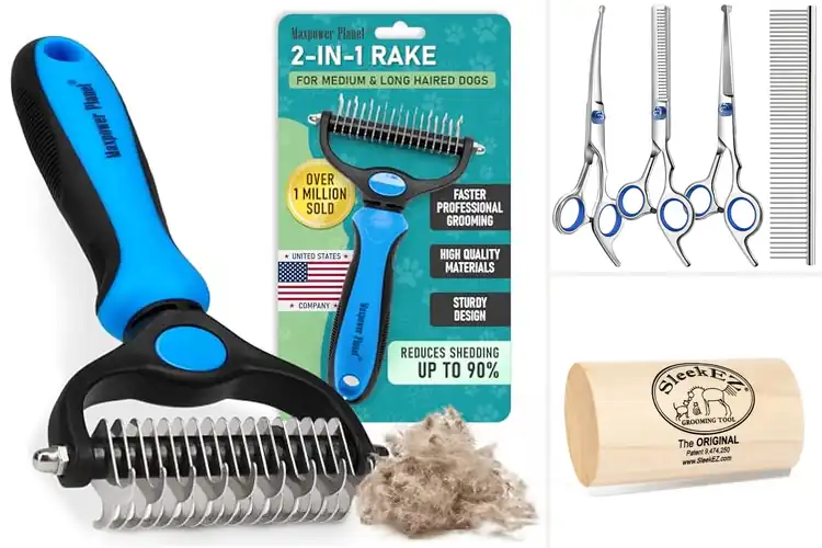 Detailed view of Best Grooming Tools: Top 10 Picks for a Healthy, Happy Pet