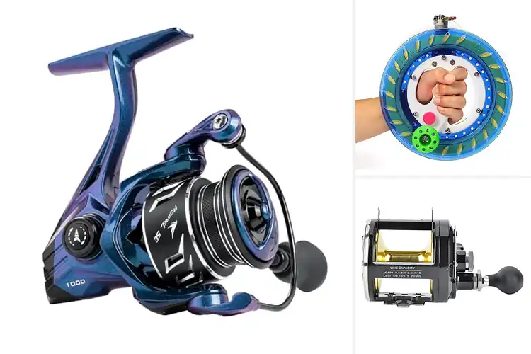 Detailed view of Best High-Strength Reels: Top 10 for Tough Fishing