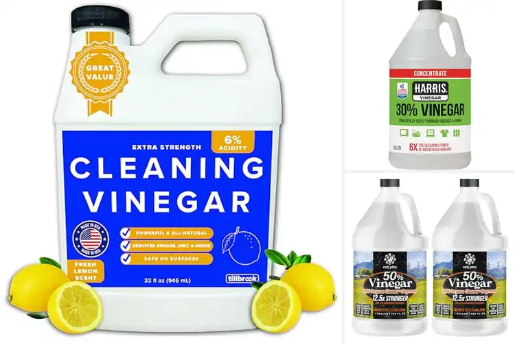 Detailed view of Best Home Cleaning Vinegars