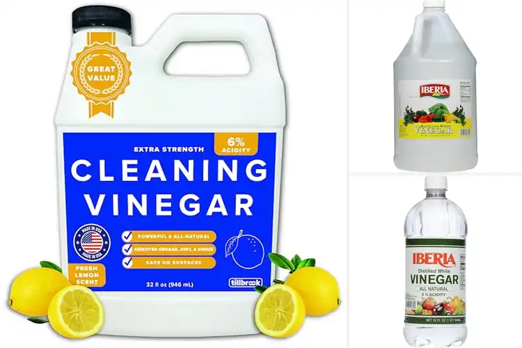 Detailed view of Best Kitchen Vinegars