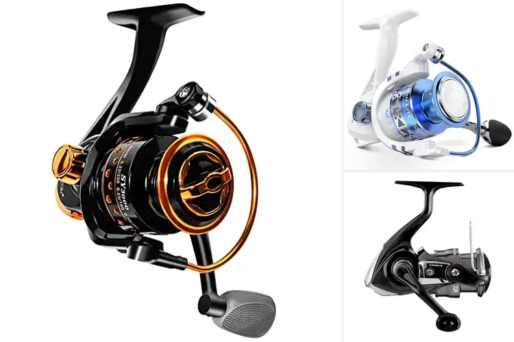 Detailed view of Best Lightweight Reels