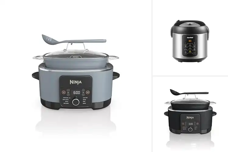 Detailed view of Best Multi Functional Cookers