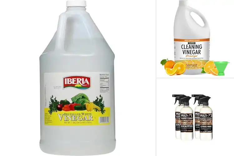 Detailed view of Best Multipurpose Vinegars
