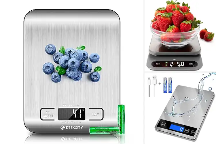 Detailed view of Best Stainless Steel Food Scales