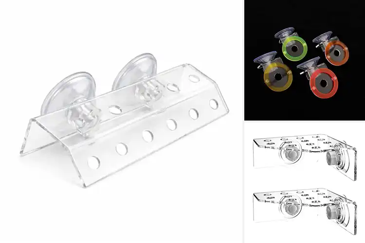 Detailed view of Best Suction Cup Coral Stands