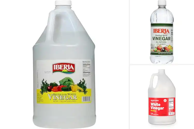 Detailed view of Best White Vinegars